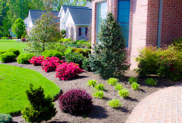 Front Yard Landscaping Houston