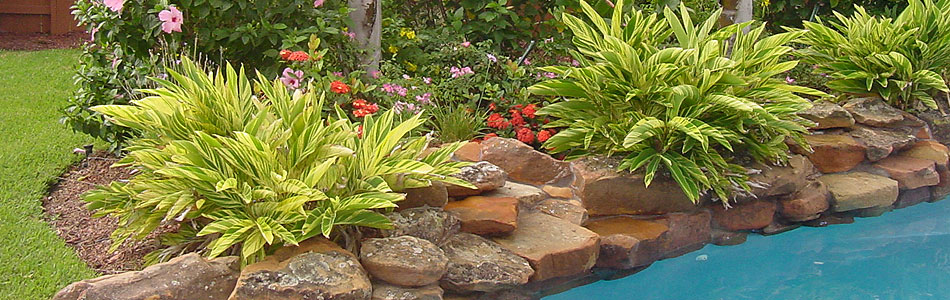 Houston Pool Side Landscape Design - Pool Landscape Design Houston
