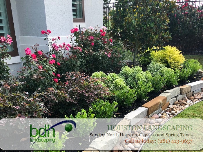 Backyard Landscaping Cypress | Landscaper Cypress | BDH Landscaping